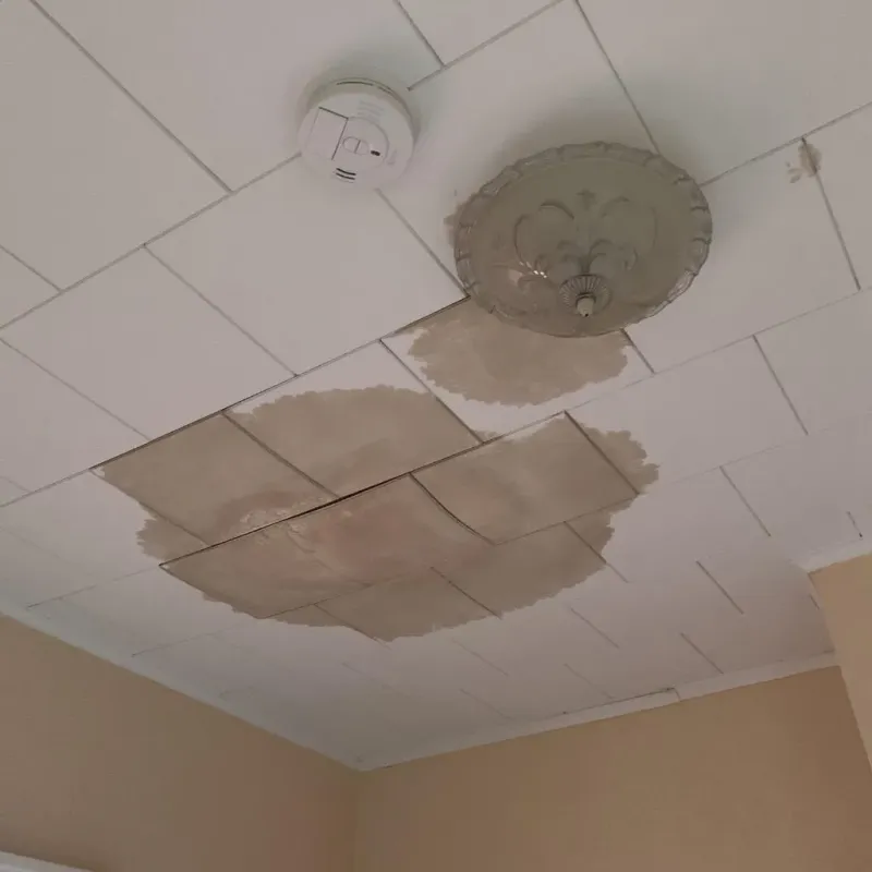 Ceiling Water Damage Repair in Bristol, VT