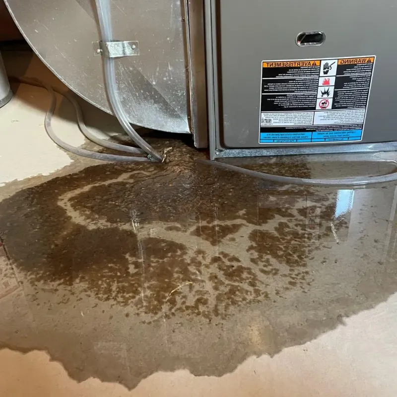 Pipe Burst and Leak Restoration in Bristol, VT